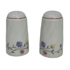 Johnson Brothers Summer Chinz Salt & Pepper Shakers - MISSING ONE PLUG